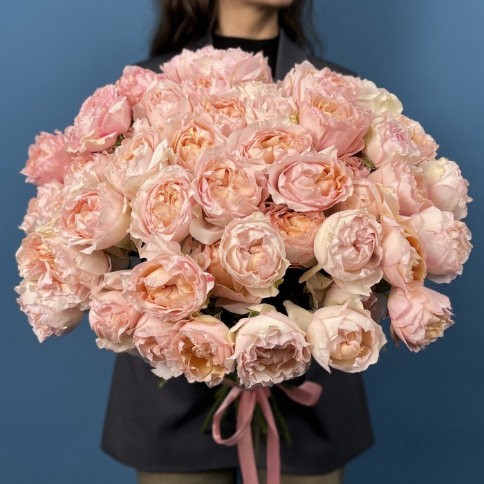 Кустовая пионовидная роза Джульетта Хани 60 см